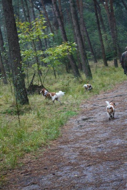 kooiker wandeling chaam