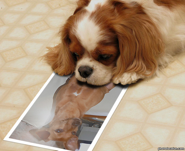 Achhhh ziet er leuk vriendje uit 