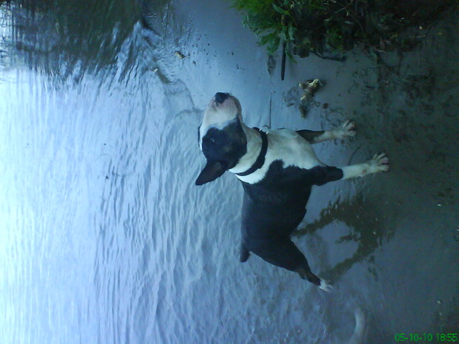 n andere knappe man!