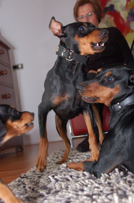 Hugo, Jay-Dee en Anna