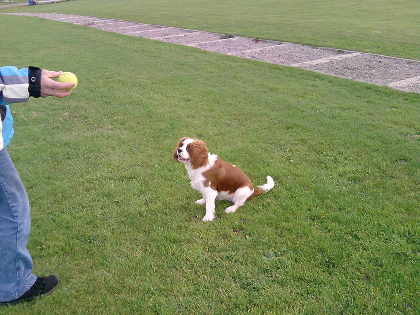 Gooi je hem niet weer helemaal naar beneden baas