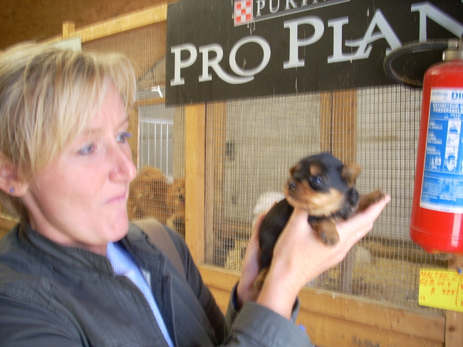 na lang aandringen bij mijn man mochten we petitje in ons gezin verwelkomen!!