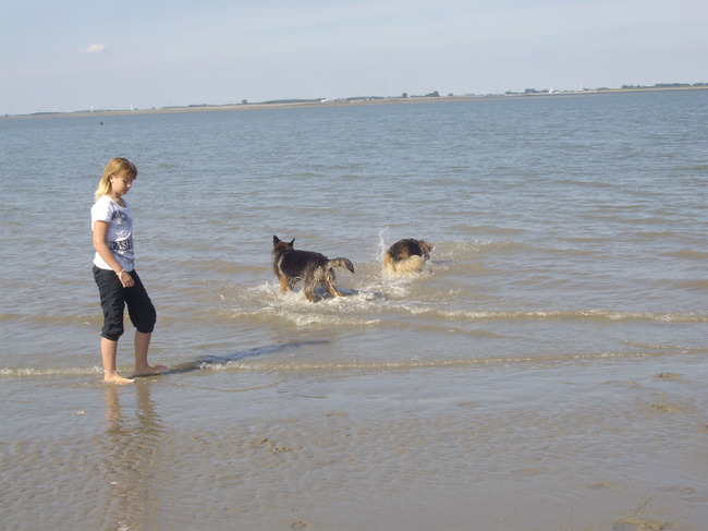 Christel op het strand met Rosie en Ziva
