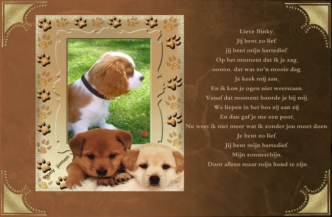 Verwonderlijk Honden gedichten | HondenForum GC-78