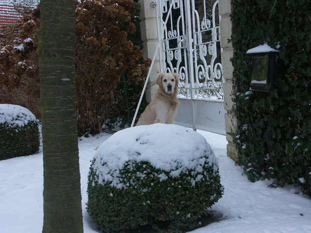 Wat is er ? Ik ben wel aan het waken hé, gelieve niet te storen !