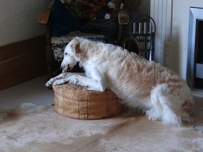 een poef nodig voor mijn botje