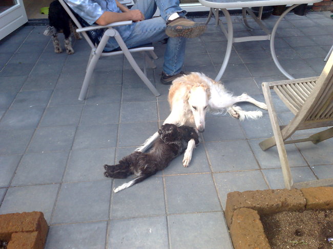 Gimme met haar vriendin Luna