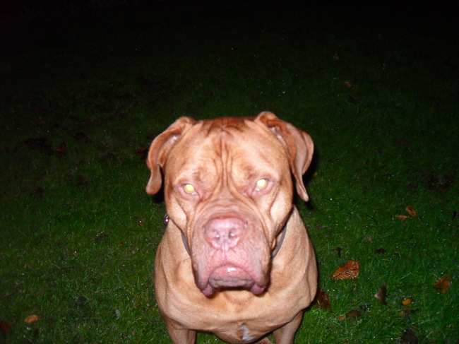 Zeg vrouwtje moet dat nou sochtends vroeg op de foto