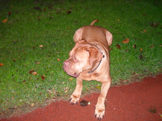 He wat zie ik daar nou even goed kijken