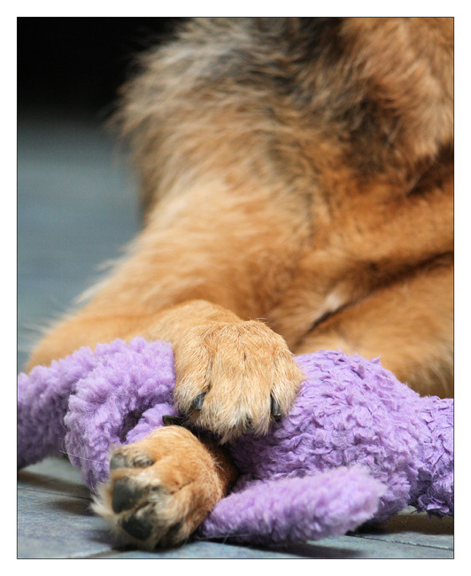 Ik bewaak 'm met m'n leven!