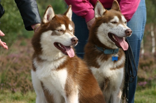 Hier ben ik met mijn vader Diego