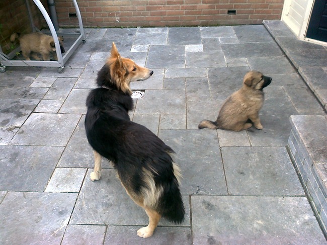 mn mammie en ik  bruno