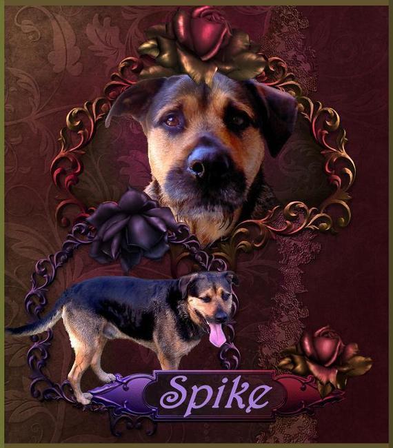 Gemaakt door Roos!!! Thanx