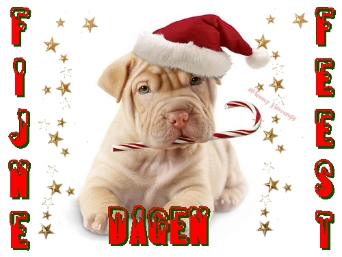 Deze komt op de kalender 2011 te staan met  nog 11 andere foto,s die ze laat af drukken bij de hema .