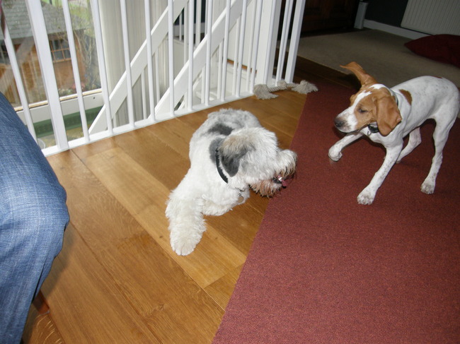 en maar blijven spelen