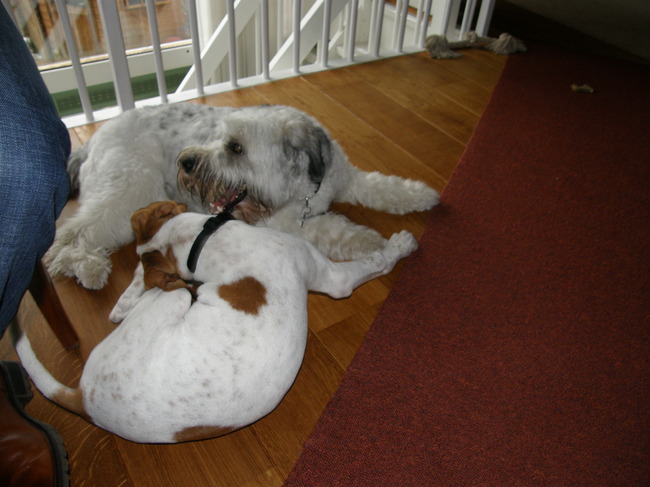 er komt geen eind aan al dat spelen