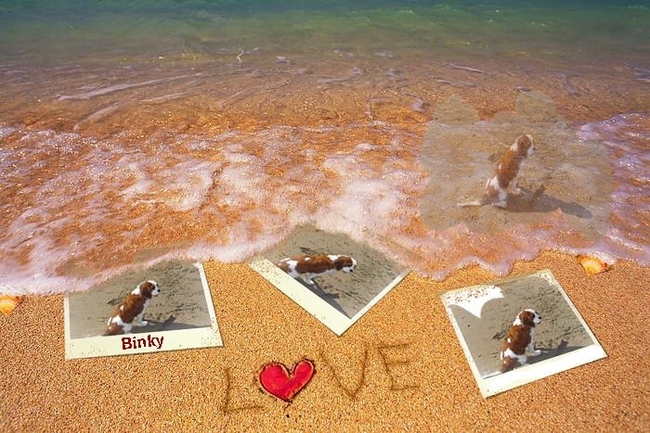 Binky LOVE