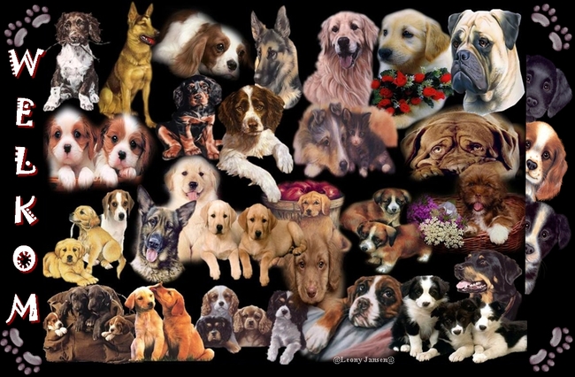 Ze kan er geen genoeg van krijgen ,sinds ze foto shoppen op de pc heb staan.