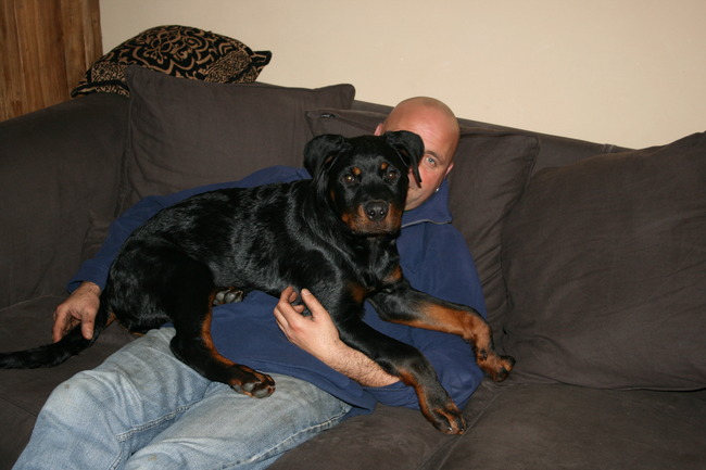 kan gewoon nog steeds op schoot.
Ik ben nog maar een puppy...