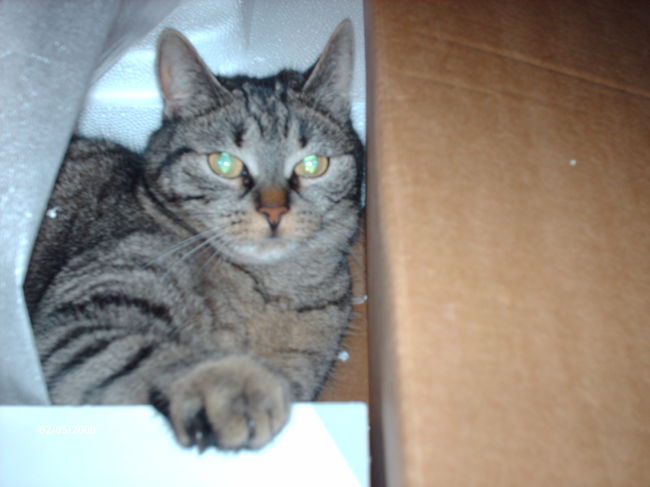 Ze denkt echt blijf van mijn doos af.