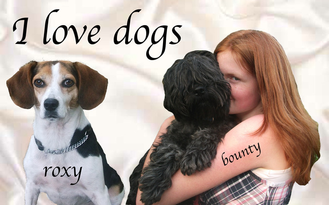 ik hou van alle honden, vooral roxy, bounty, buster enz