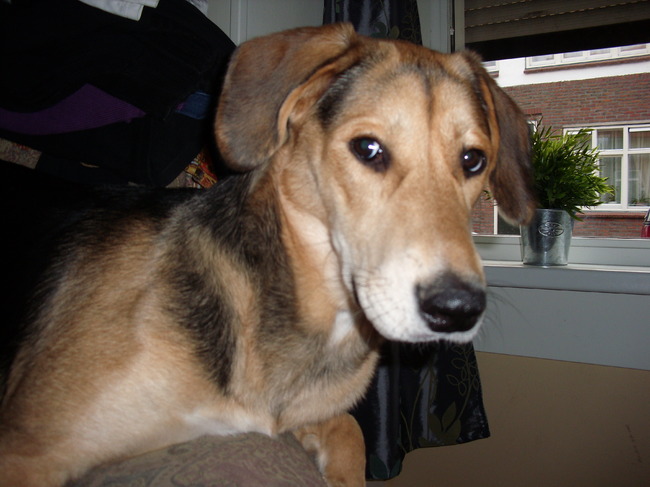 Ik heb niets gedaan hoor.