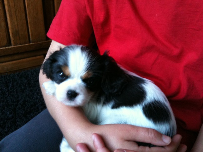 Sharlie is nu nog te klein om mee te spelen .....Maar het is nu al mijn kleine grorte vriend haha