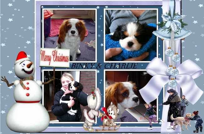 onze kerst kaart gemaak door mijn baasje