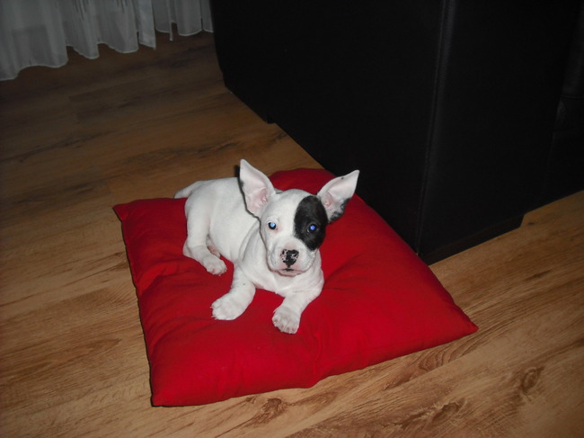 lekker liggen zoals altijd