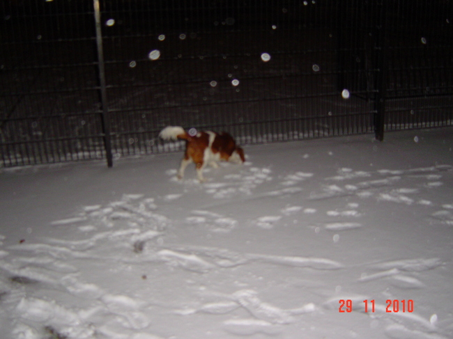 Rennen door de sneeuw,maar moet wel even uitkijken ben al tig keer onder uit gegaan .
