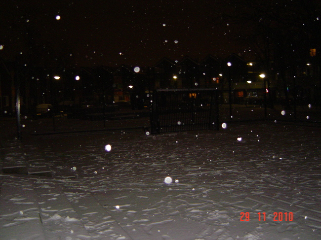 Binky vint het hele maal te gek de sneeuw.We waren net binnen en de deur stont nog open omdat ik mijn laarsen moest uit kloppen .En Binky  dacht baasje wil naar binne ik niet.en vloog weer naar het plein.