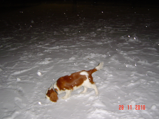 Bij ons op het plein ,sneeuw pret met het buurmeisje Ciel ,waar heeft ze de sneeuw bal naar toe gegooid zoek zoek .