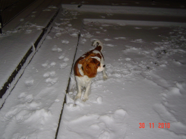 Het hele plein voor mijn alleen,was al 1 uur .En me laatste rondje ,moet ik 6 uur wachten voor ik veer de sneeuw in mag hahaha