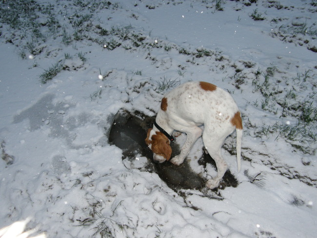 en dan ook nog ijs. glibber 