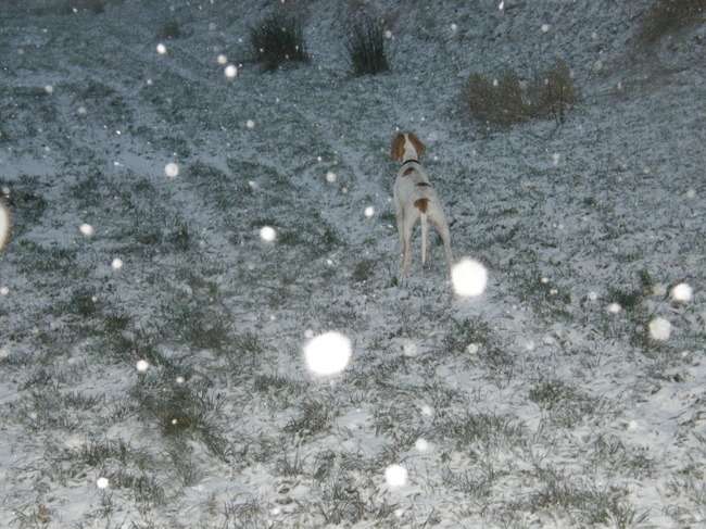 vind het toch wel leuk denk ik