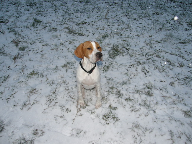 heb het nu wel een beetje koud