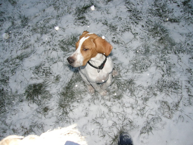 bbbbrrrrrrr baaaaaasje ik wil naar binnen