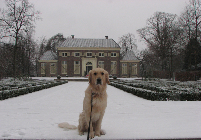 Dobby, december 2010.