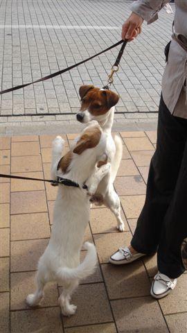 leuk even dollen aan zee