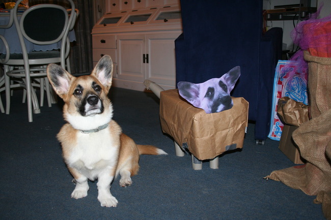 Surprise van mijn broer die eigenlijk heel erg mislukt was maar toch zo grappig