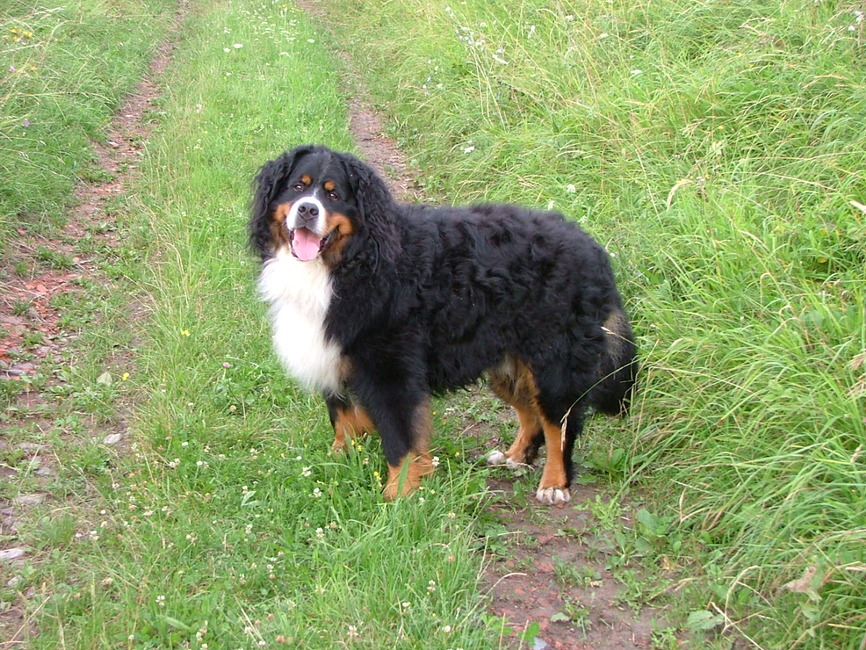 Weer wachten op de baas. Pffff