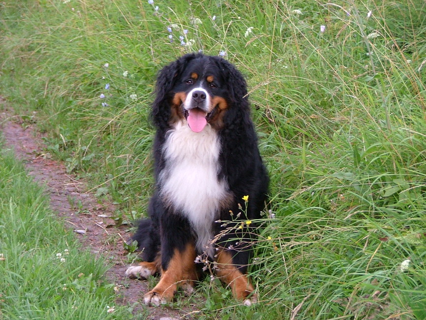 Oostenrijk, op vakantie.