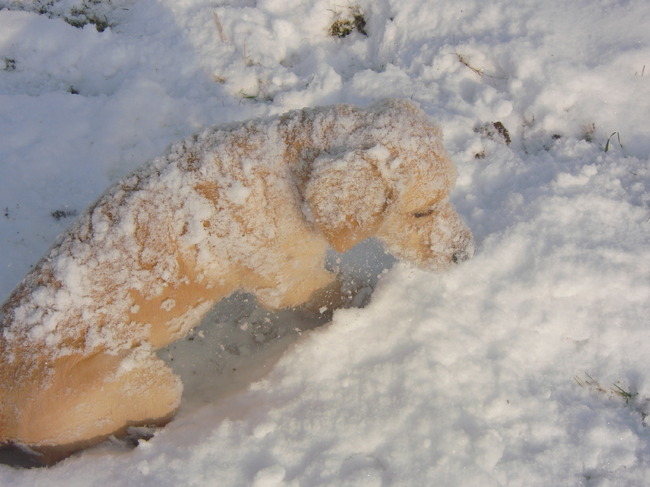 Toen zat je onder de sneeuw :O