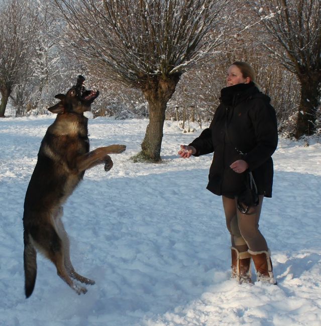 Stoeien met Igor in de sneeuw