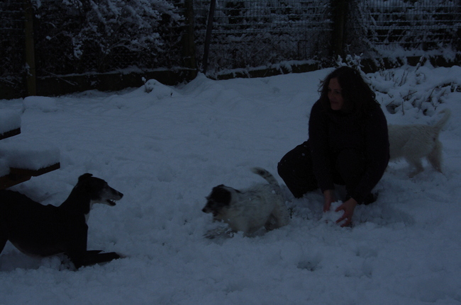Wolf, Rune en het baasje in de sneeuw