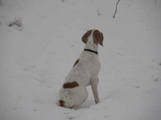 bbbrrrr ik krijg koude billen