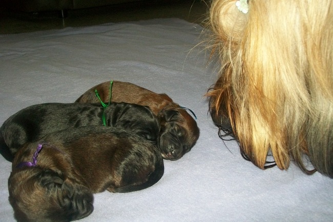 papa met zijn 3 zoontjes :-)