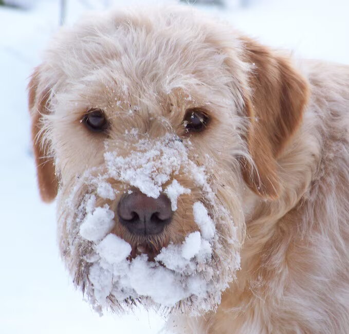 Matchy met haar lekkere sneeuwbekkie : - )