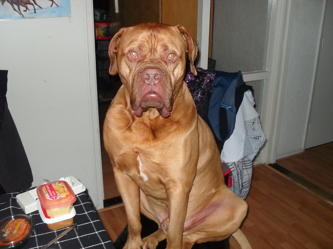 Zo lekker hoog en droog zitten hahahaha