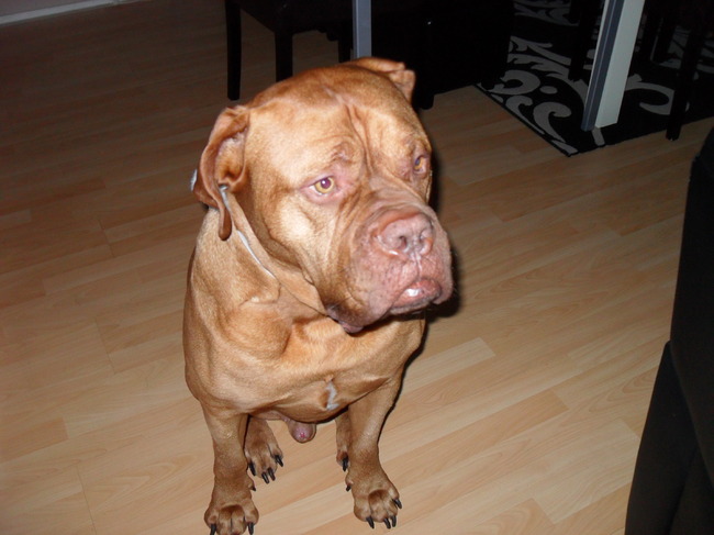 Wat ben ik toch een knapperd